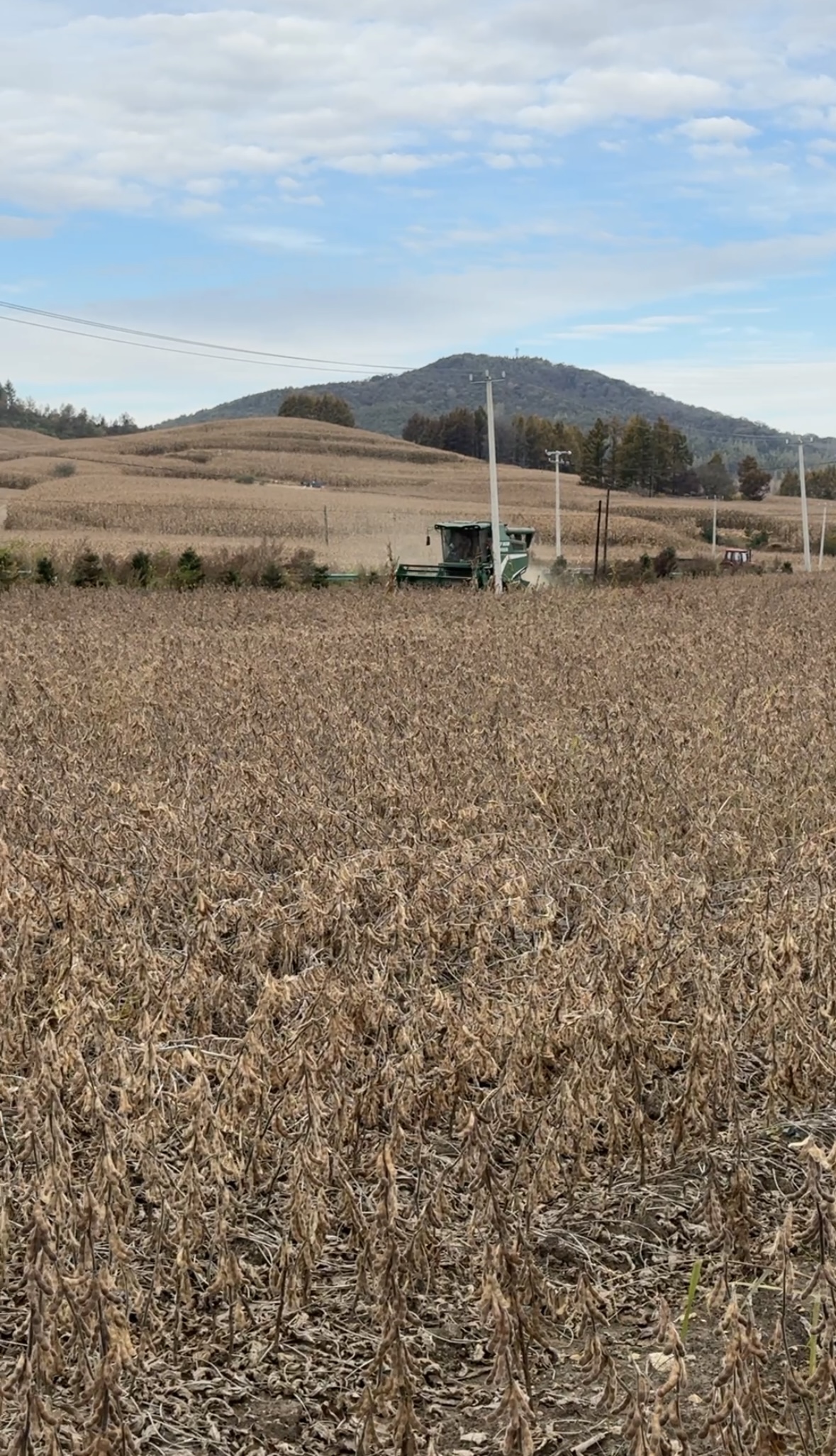 1763178138884012.jpg 微信图片_20251115114004_4729_387.jpg