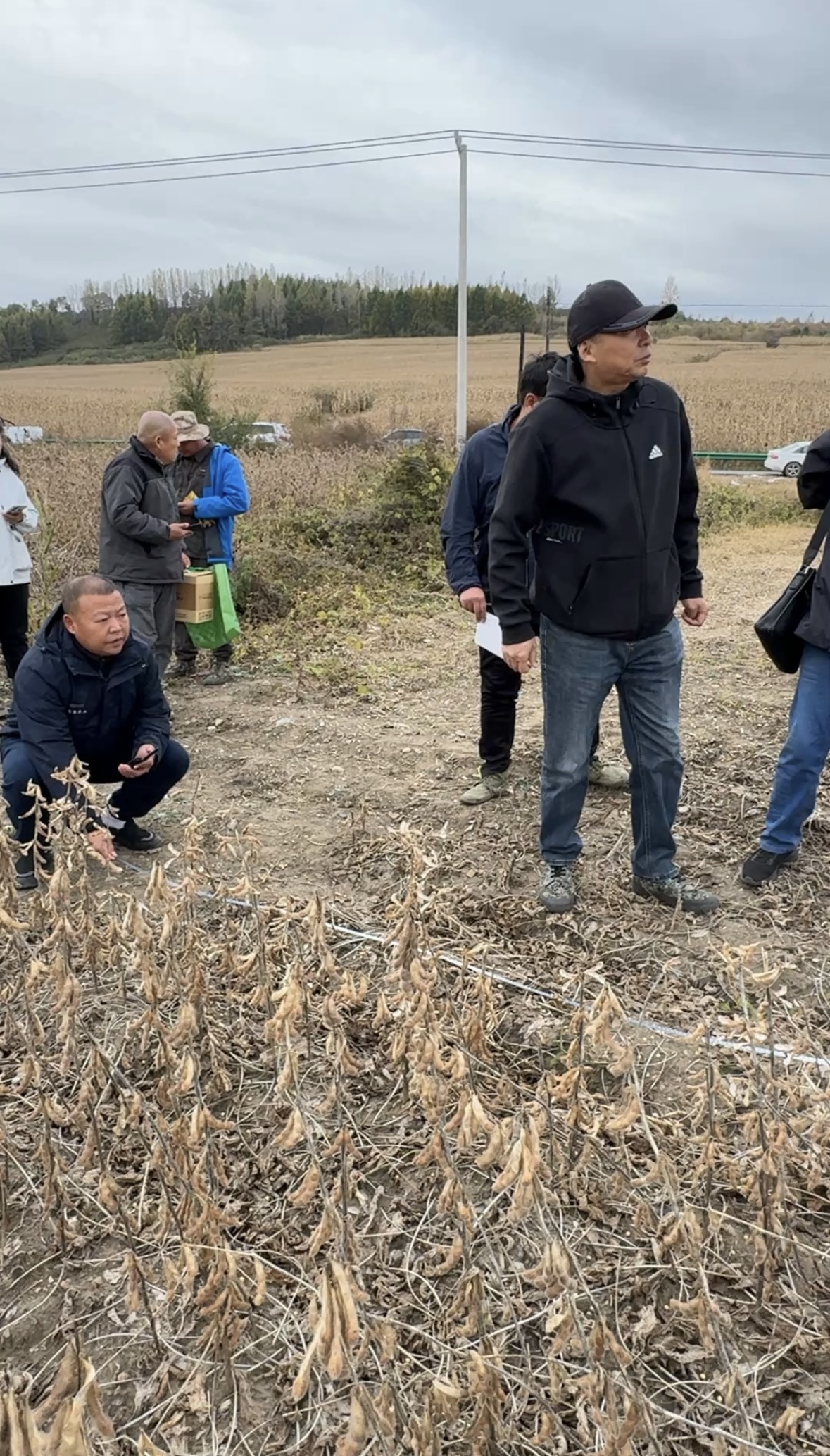 1763178154687671.jpg 微信图片_20251115114020_4731_387.jpg