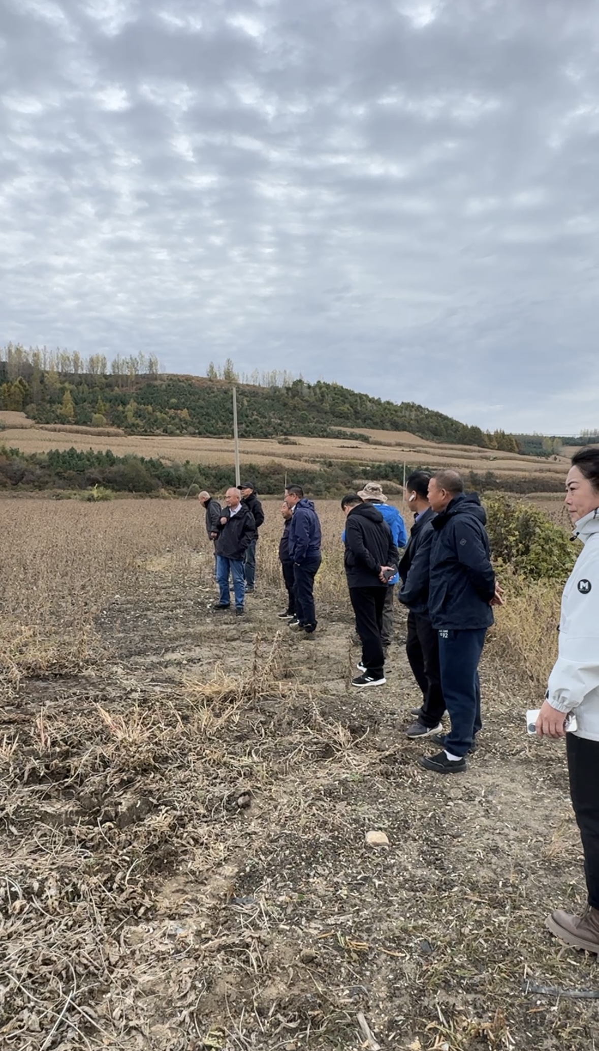 1763178162394825.jpg 微信图片_20251115114026_4732_387.jpg