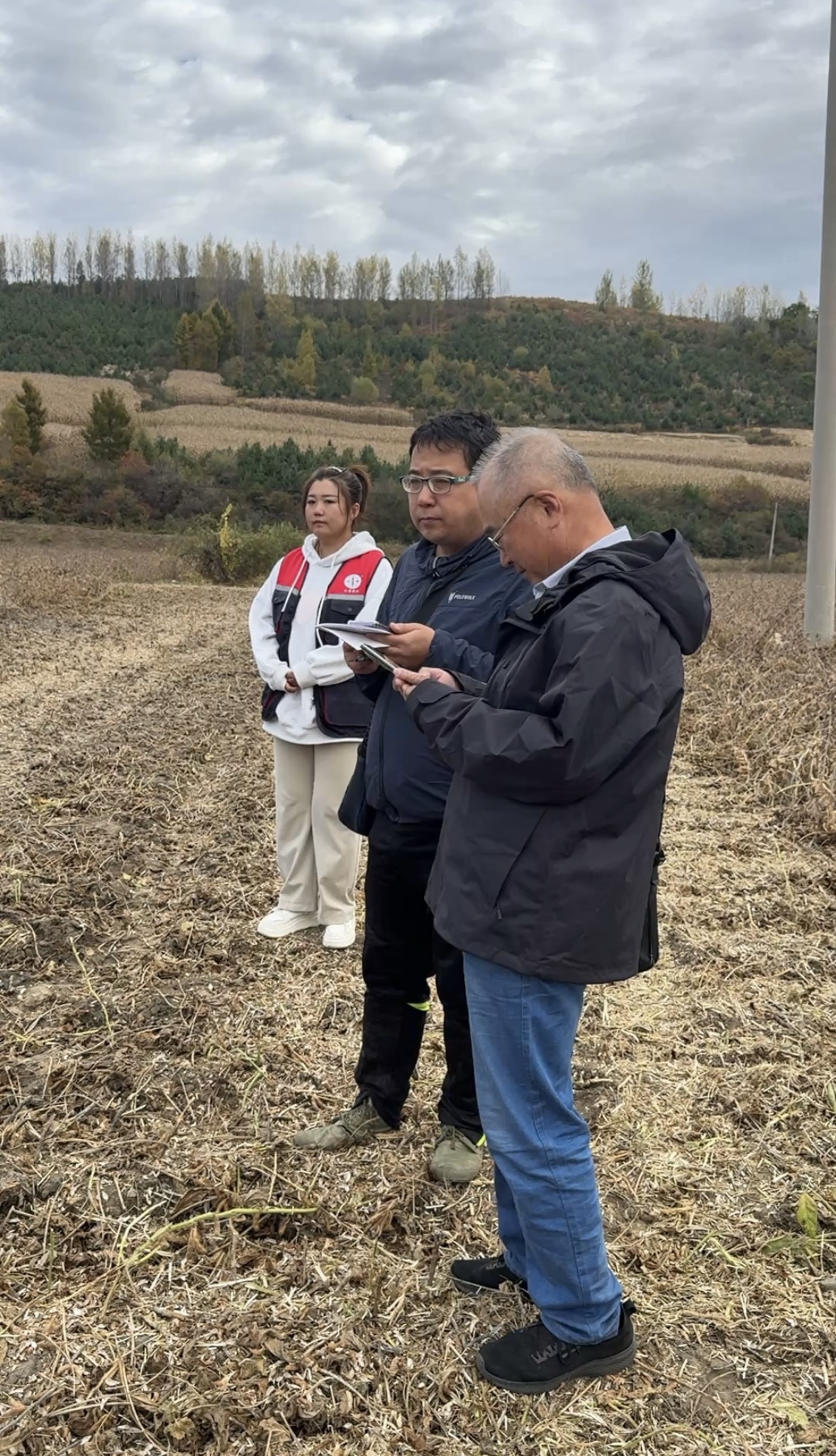 1763178168620387.jpg 微信图片_20251115114030_4733_387.jpg